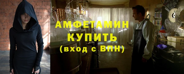 дживик Инта
