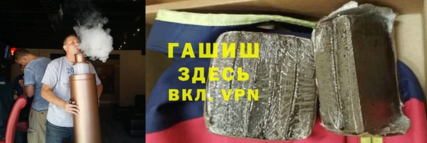 дживик Инта