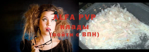 дживик Инта