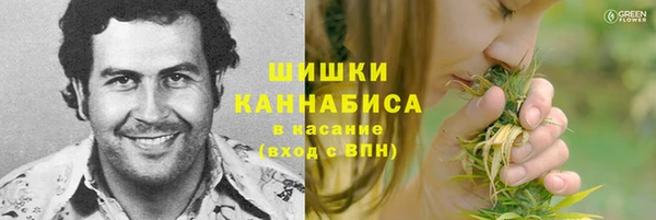 дживик Инта