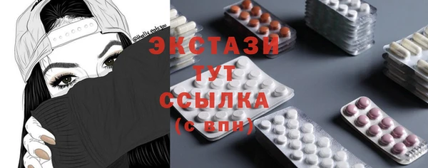дживик Инта