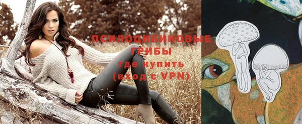 дживик Инсар