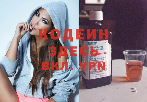 дживик Инта