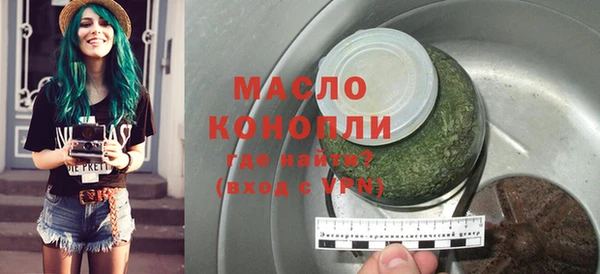 дживик Инта