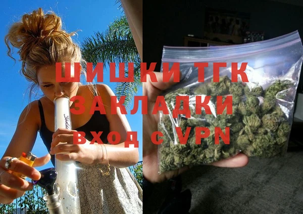 дживик Инта