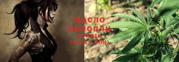 дживик Инта