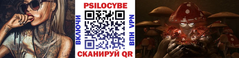 Купить где  Арсеньев  Псилоцибиновые грибы ЛСД 